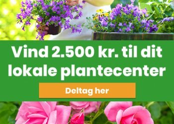 plantorama konkurrence