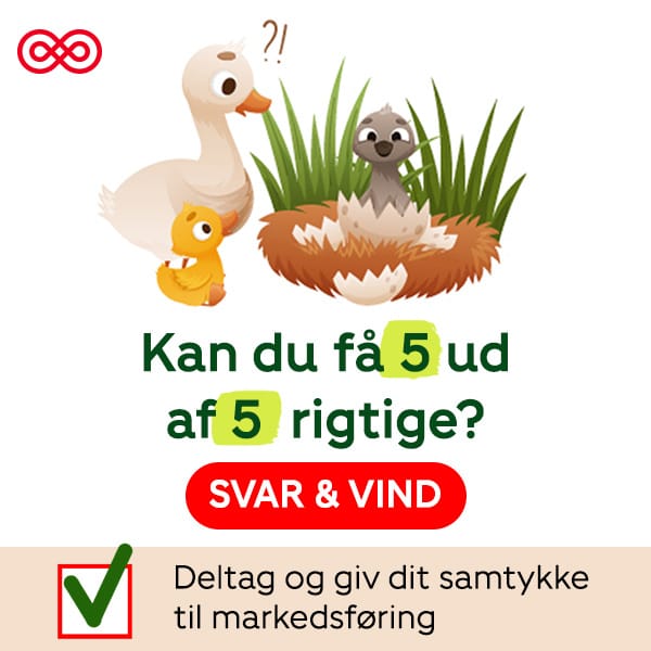 Kræftens Bekæmpelse konkurrence
